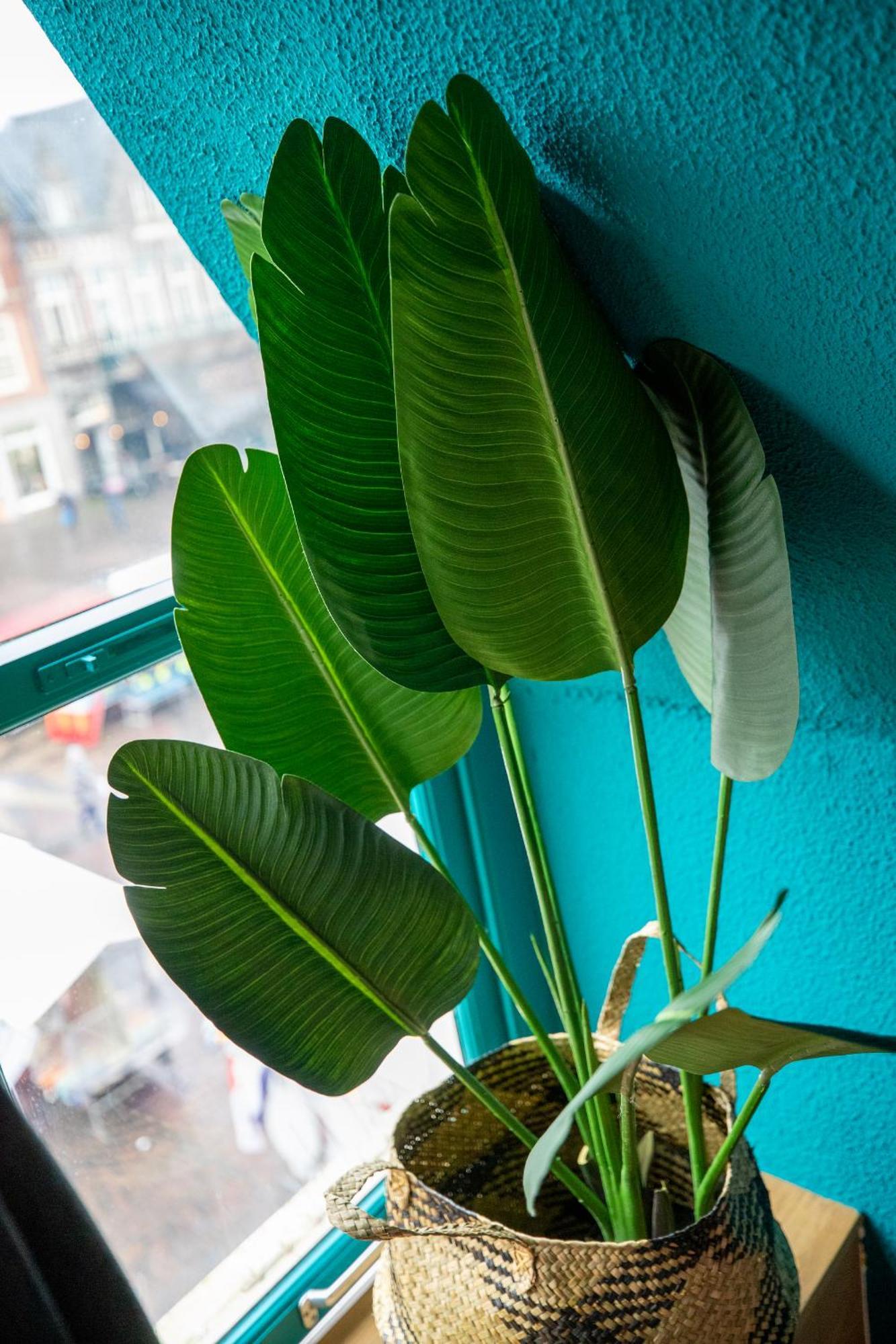 Bambu Sleep Boutique Hotell Haarlem Rom bilde